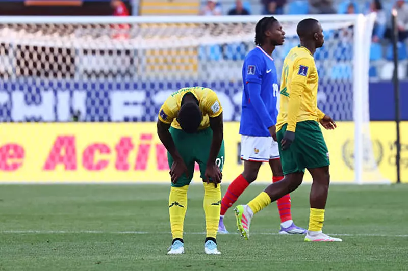 فرنسا وجنوب أفريقيا